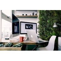 Panou Verde Artificial GENAROM GD143
